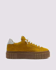 Creeper Marigold